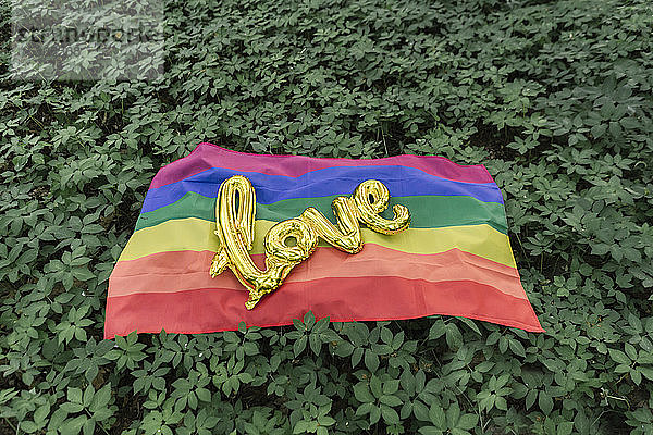 Regenbogenfahne mit dem Wort Liebe im Hintergrund von Waldpflanzen