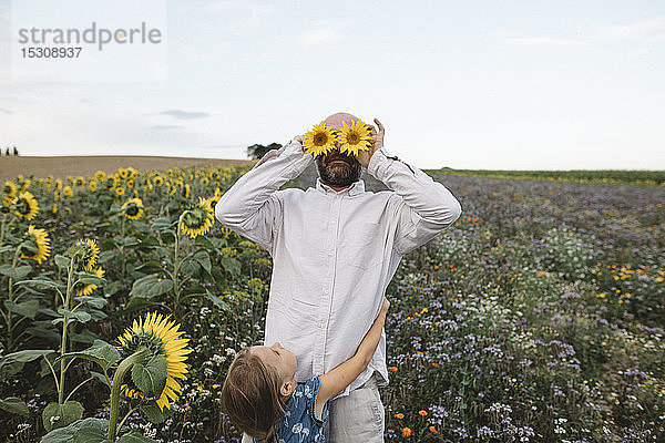 Verspielter Mann  der seine Augen mit Sonnenblumen bedeckt  auf einem Feld mit einer Tochter  die ihn umarmt