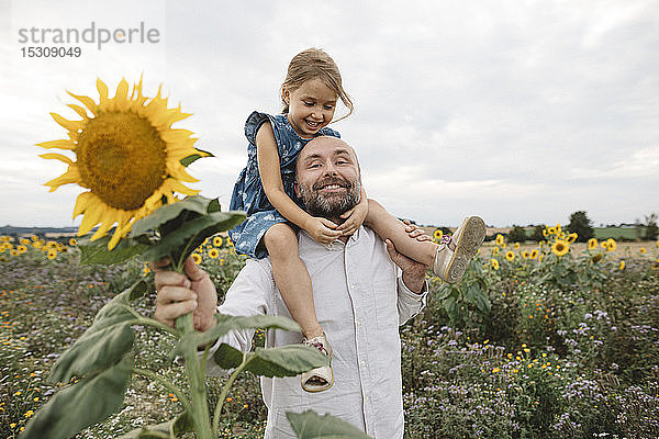 Glücklicher Mann trägt Tochter in einem Sonnenblumenfeld