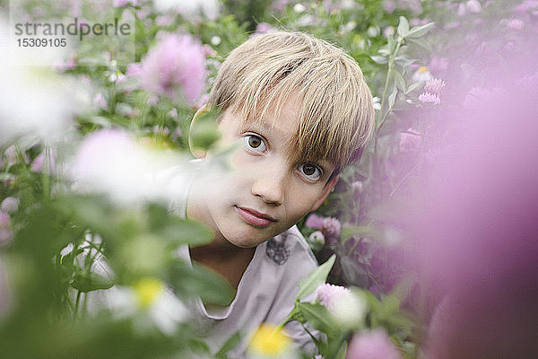 Junge schaut zur Kamera auf Blumenfeld