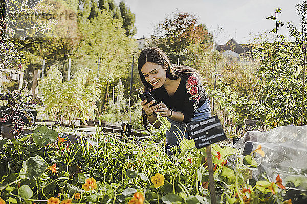 Glückliche junge Frau fotografiert mit Smartphone im Stadtgarten