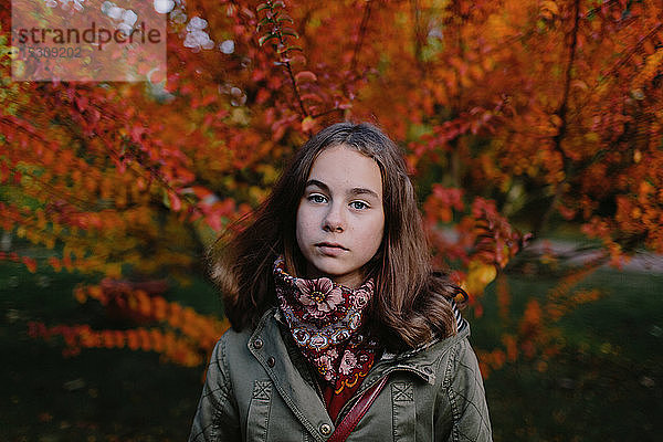 Porträt eines jungen Mädchens in einem Park  im Hintergrund ein herbstlicher Baum
