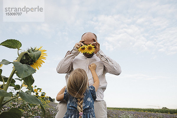 Verspielter Mann mit Tochter auf einem Feld  der seine Augen mit Sonnenblumen bedeckt