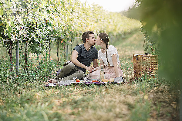 Küssendes junges Paar beim Picknick in den Weinbergen