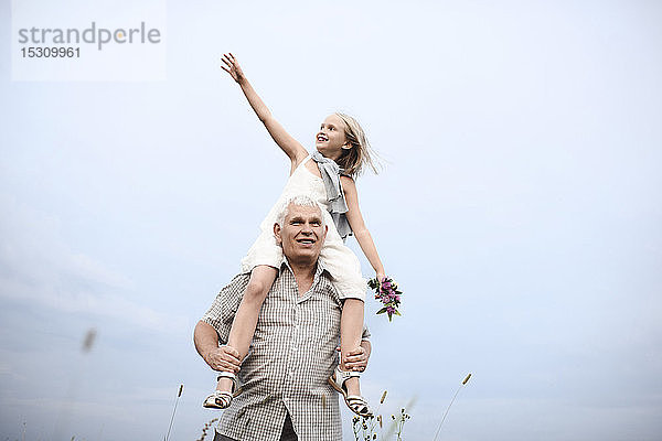 Älterer Mann  der in der Natur eine glückliche Enkelin auf seinen Schultern trägt