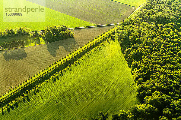 Luftaufnahme von Feldern und Wald  Österreich
