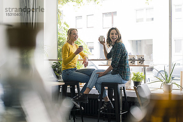 Zwei Freundinnen sitzen im Café  amüsieren sich  trinken Kaffee