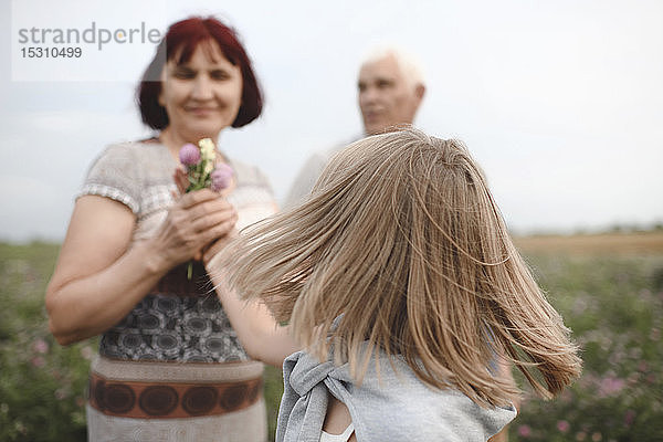 Blondes kleines Mädchen überreicht seiner Großmutter Blumen auf einer Wiese