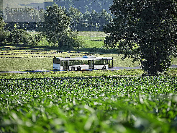 Bus fährt auf der Autobahn auf der grünen Wiese