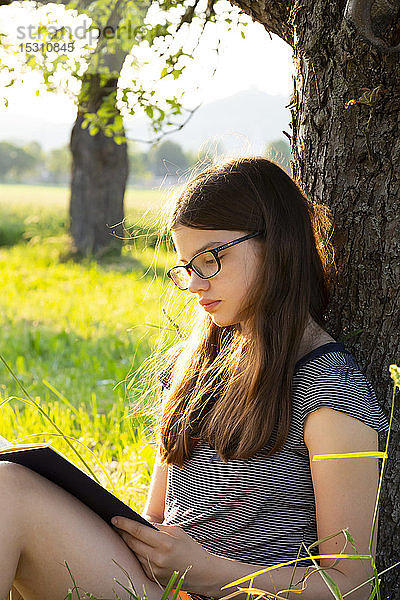 An einen Baumstamm gelehntes Mädchen liest in der Natur ein Buch