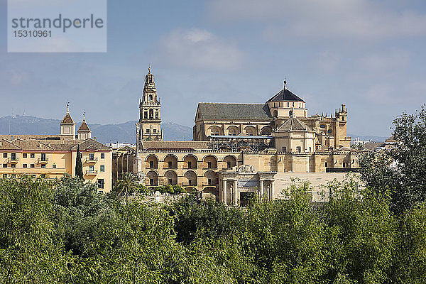 Spanien  Andalusien  Córdoba  Altstadt  Moschee  Kathedrale