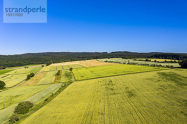 Luftaufnahme über Getreidefelder  Wiesen und Wälder  Wetterau  Deutschland