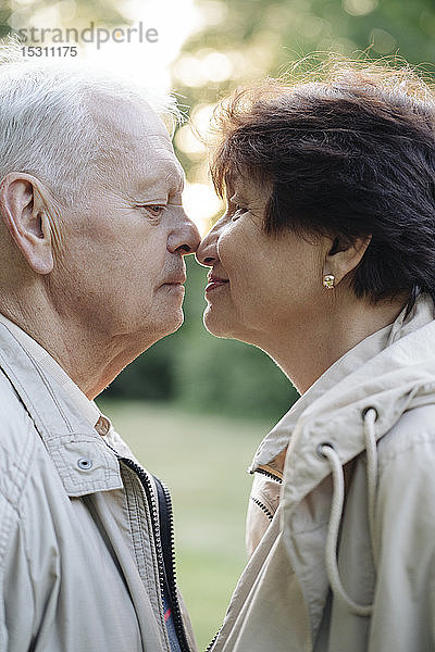 Profil eines älteren Paares  das sich die Nasen reibt