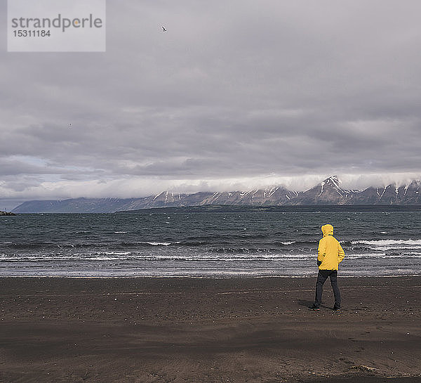 Matuer Mann steht am Lavastrand am Eyjafjordurfjord  Island  und schaut auf das Meer
