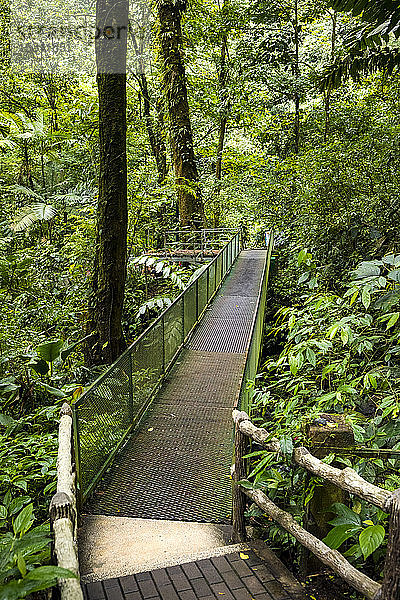 Wanderweg am La Fortuna-Wasserfall  La Fortuna  Costa Rica