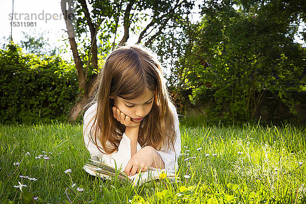 Mädchen liegt auf einer Wiese und liest ein Buch