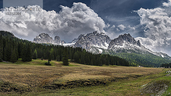 Wald vor dem Elferkofel und der Sextener Rotwand Â Südtirol  Italien