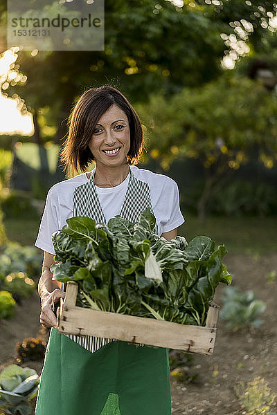 Frau arbeitet in ihrem Gemüsegarten