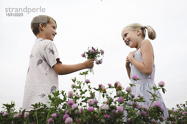 Junge schenkt lächelndem Mädchen Kleeblumen