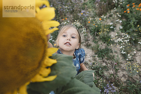 Mädchen greift auf einem Feld nach einer Sonnenblume