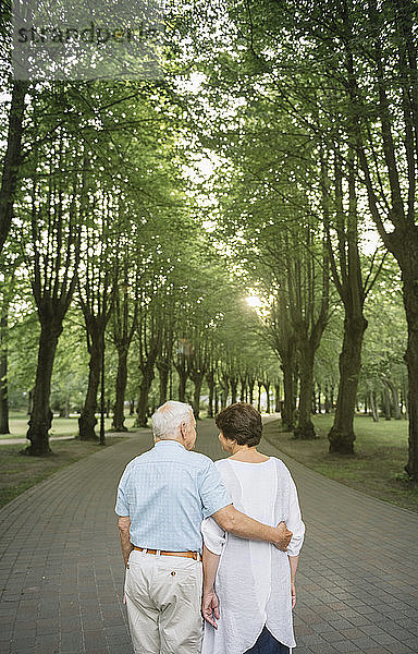Rückenansicht eines älteren Ehepaares beim Spaziergang in einem Park bei Sonnenuntergang
