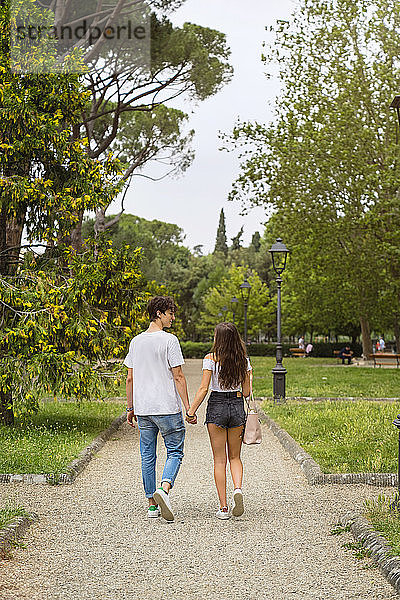 Rückansicht eines jungen Paares in einem Park