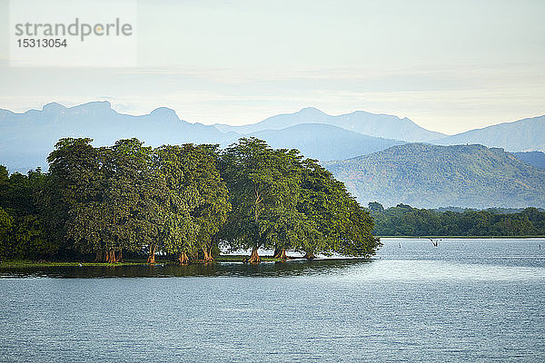 Blick auf die Halbinsel am Udawalawe-Reservoir  Udawalawa-Nationalpark  Sri Lanka