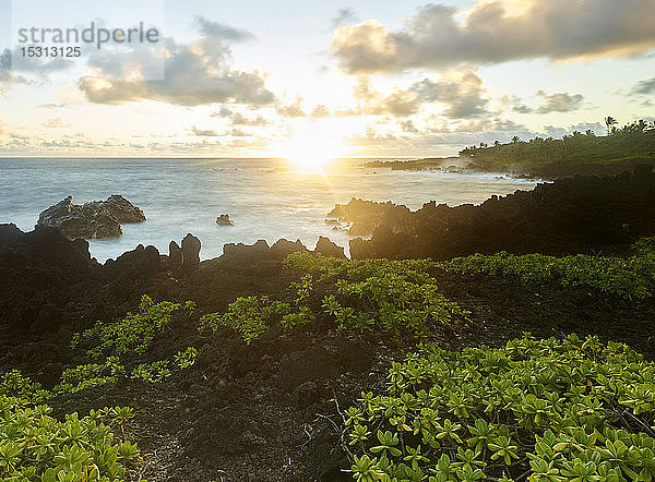 Pflanzen  die in der Hana-Bucht bei Sonnenuntergang am Meer gegen den Himmel wachsen