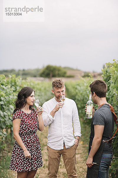 Sommelier erklärt Kunden Wein im Weinberg