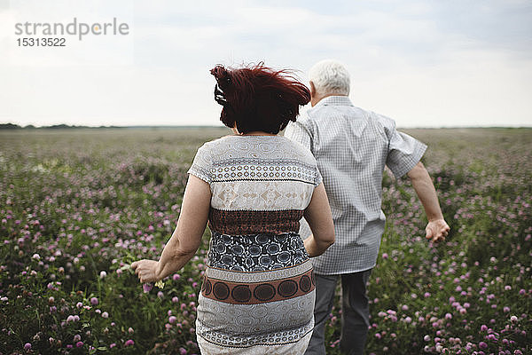 Rückenansicht eines älteren Paares  das auf einer Blumenwiese läuft