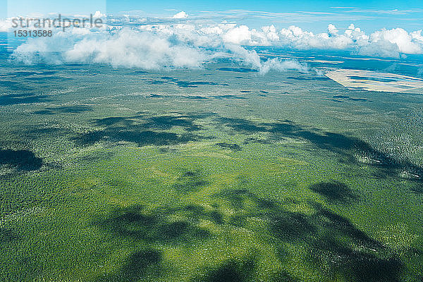 Luftaufnahme von Wald und Wolken in Queensland  Australien