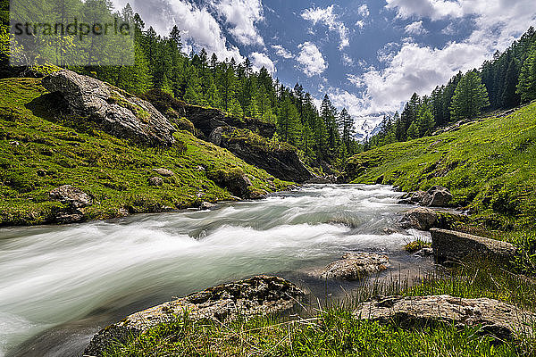 Bach im Passeiertal  Südtirol  Italien