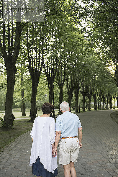 Rückenansicht eines älteren Paares  das Hand in Hand in einem Park spazieren geht
