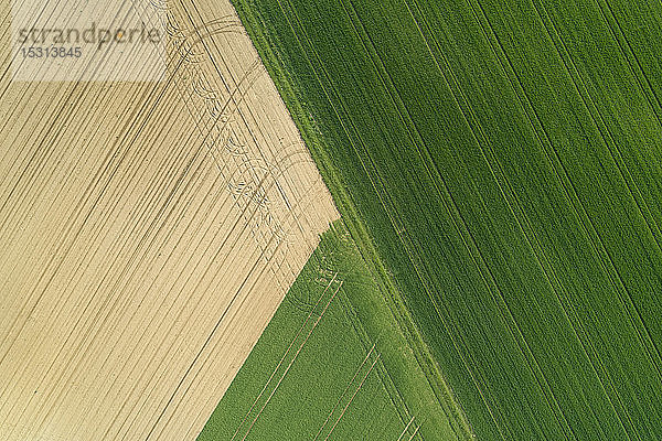 Luftaufnahme von landwirtschaftlichen Feldern  Franken  Bayern  Deutschland