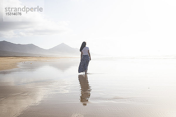 Rückenansicht einer Frau  die am Strand spazieren geht  Fuerteventura  Spanien