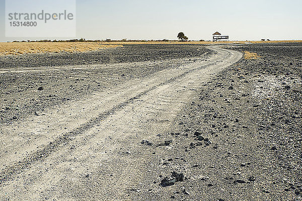 Unbefestigte Straße  Makgadikgadi-Pfannen  Botswana