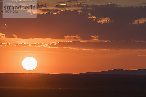 Afrika  Namibia  Etoscha-Nationalpark  Landschaft bei Sonnenuntergang
