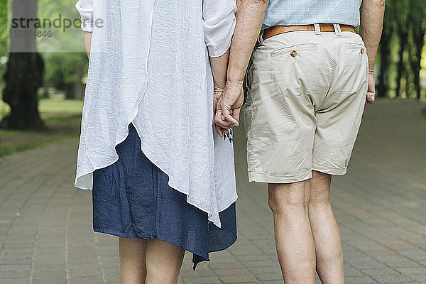 Rückenansicht eines älteren Ehepaares  das Händchen hält  Teilansicht