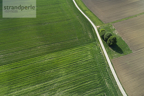 Luftaufnahme einer Landstraße durch landwirtschaftliche Felder. Franken  Bayern  Deutschland