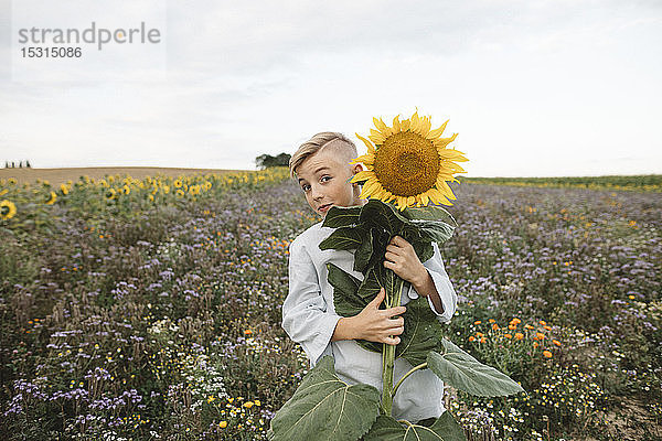 Bildnis eines Jungen  der eine Sonnenblume auf einem Feld hält