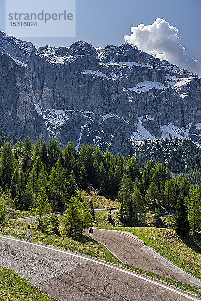 Passstrasse  Grödnerjoch  Sellagruppe  Dolomiten  Südtirol  Italien