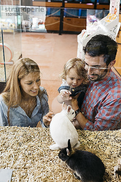 Glückliche Familie schaut sich Kaninchen in einer Tierhandlung an