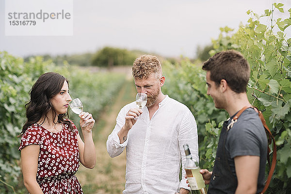 Sommelier erklärt Kunden Wein im Weinberg