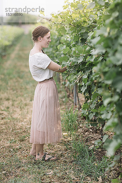 Junge Frau in den Weinbergen