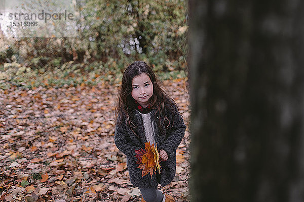 Porträt eines kleinen Mädchens  das im Herbst Blätter sammelt
