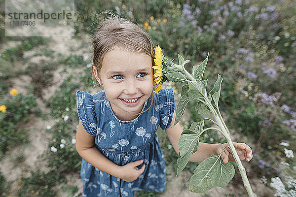 Bildnis eines glücklichen Mädchens mit einer Sonnenblume in einem Feld