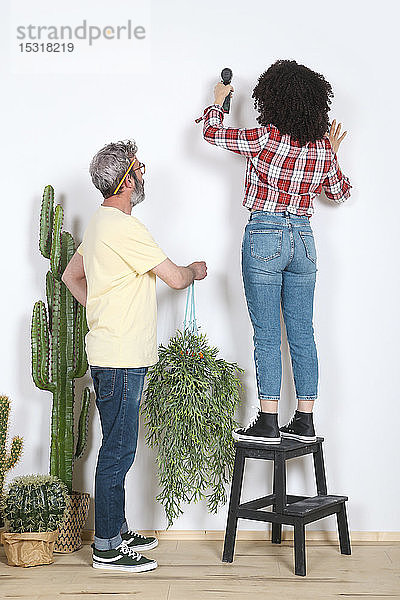 Paar Hängepflanzen an der Wand zu Hause