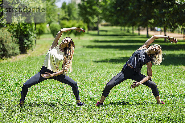 Reife Frau macht Yoga mit ihrer Tochter in einem Park