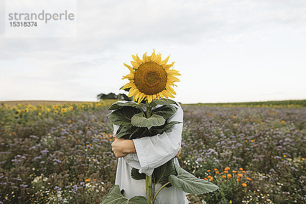 Sonnenblumen bedecken das Gesicht eines Jungen auf einem Feld