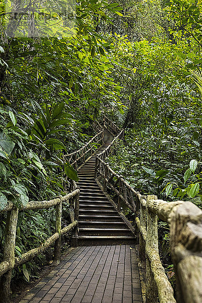 Treppe am La Fortuna-Wasserfall  La Fortuna  Costa Rica